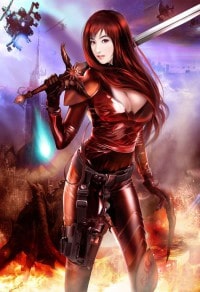 海贼之死神副船长